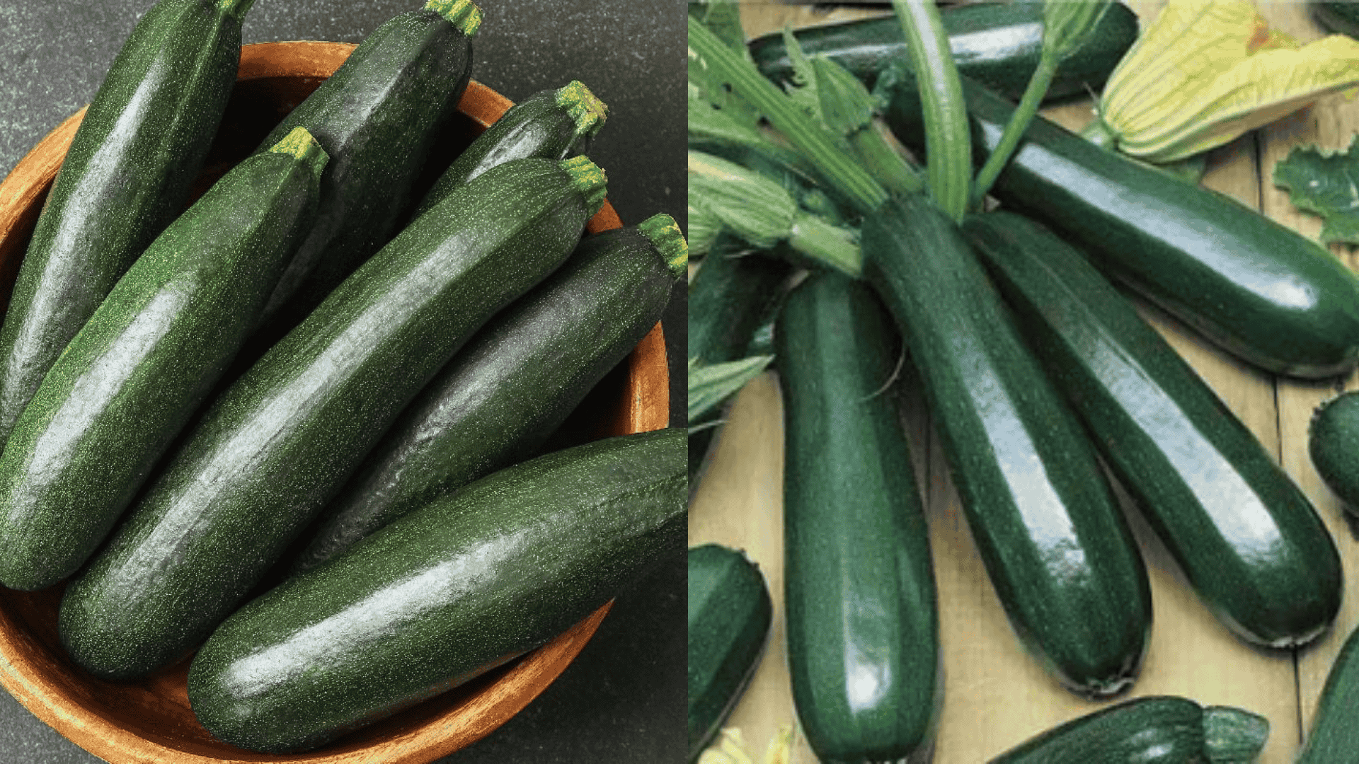 Black-Beauty-Zucchini