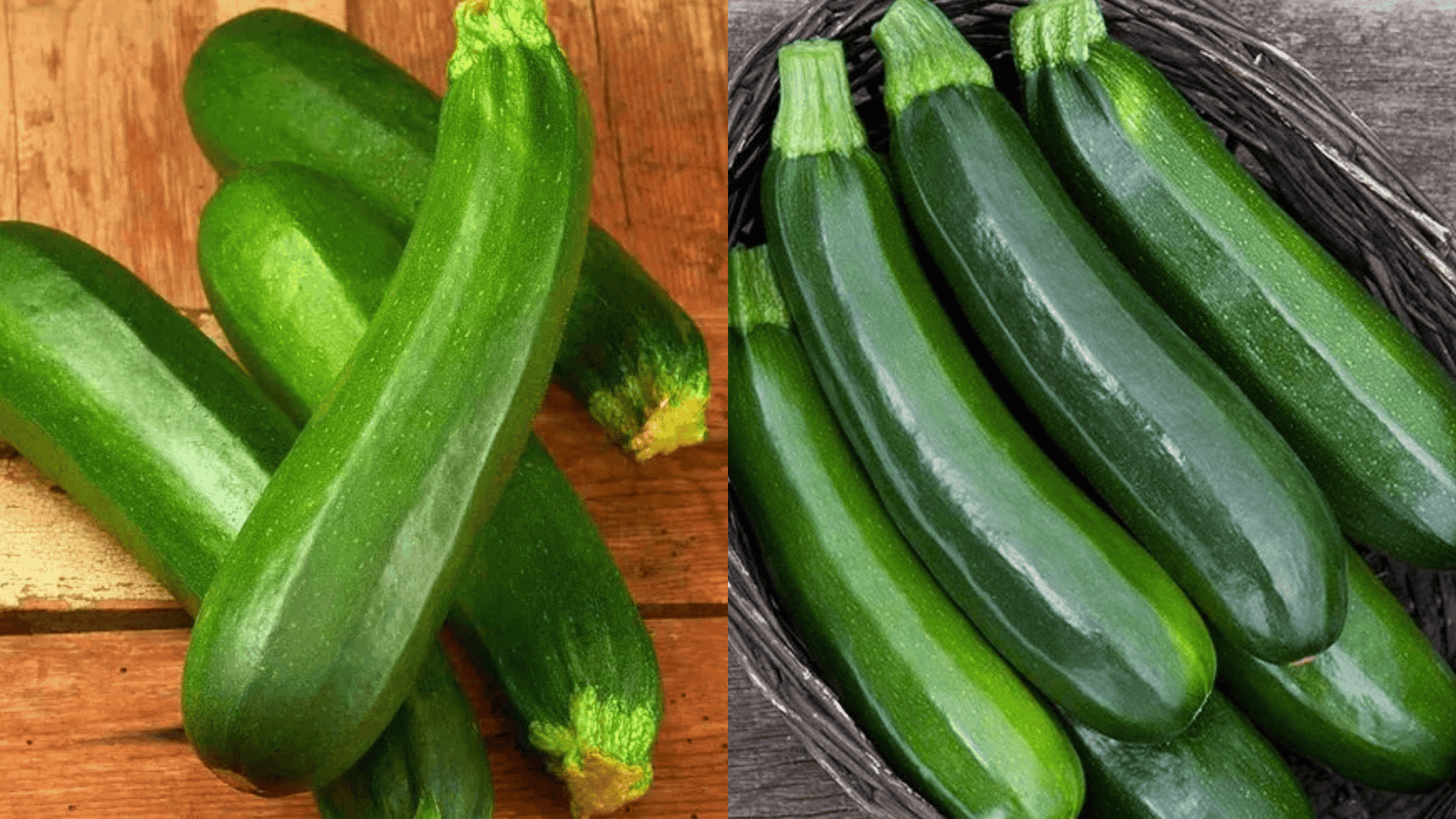 Classic-Green-Zucchini