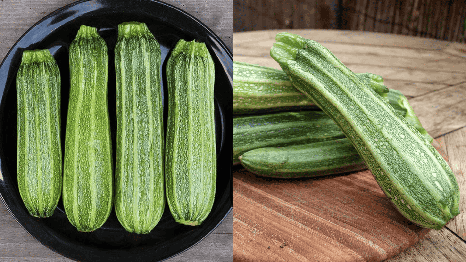 Costata-Romanesco-Zucchini