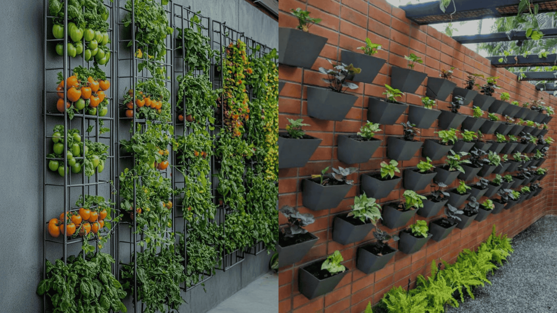 Vertical-Garden-Layout