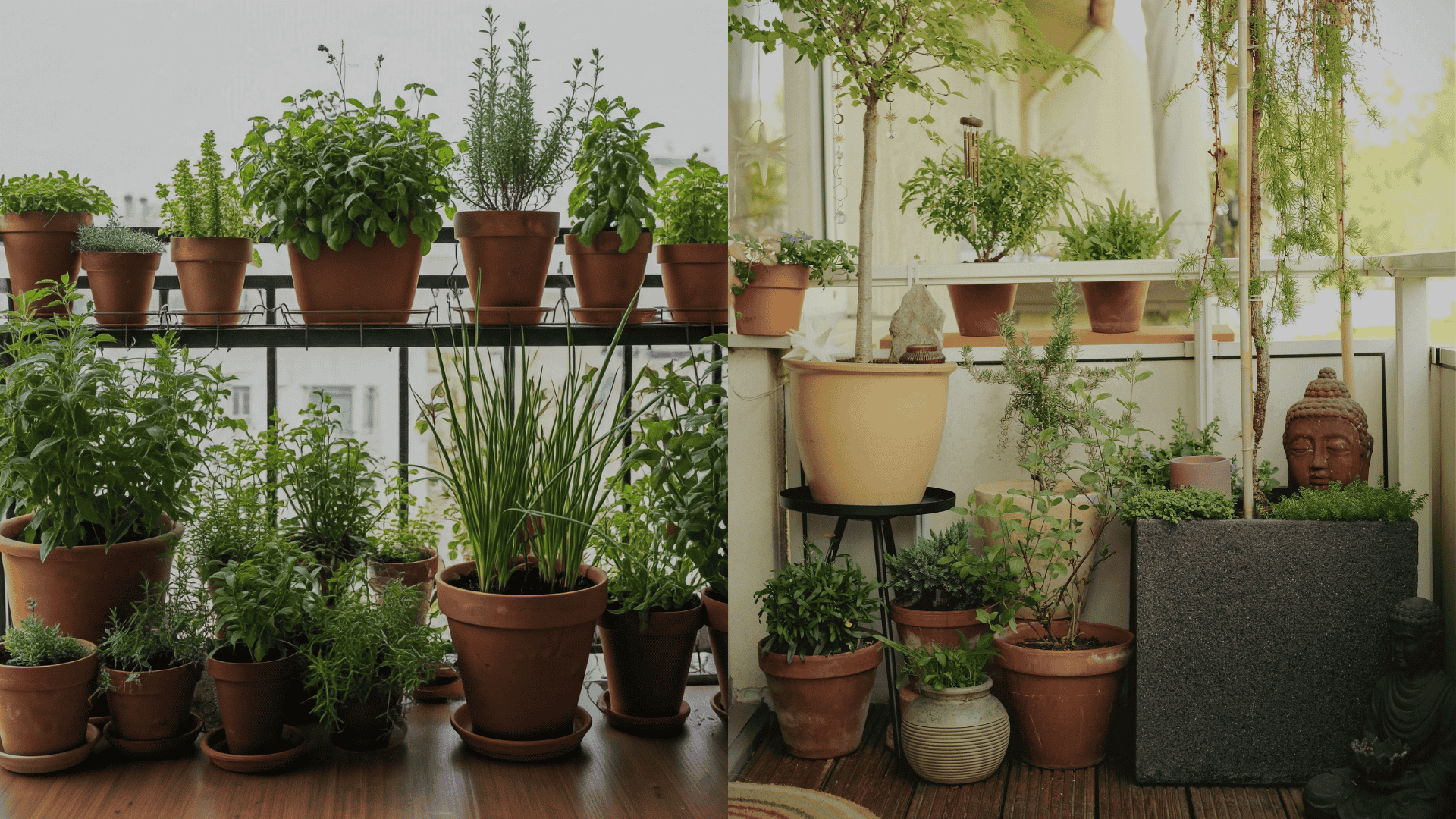 balcony-patio-Vegetable-Garden-Layout