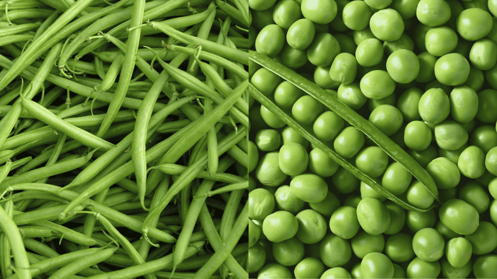 beans-peas-eggplant-companion