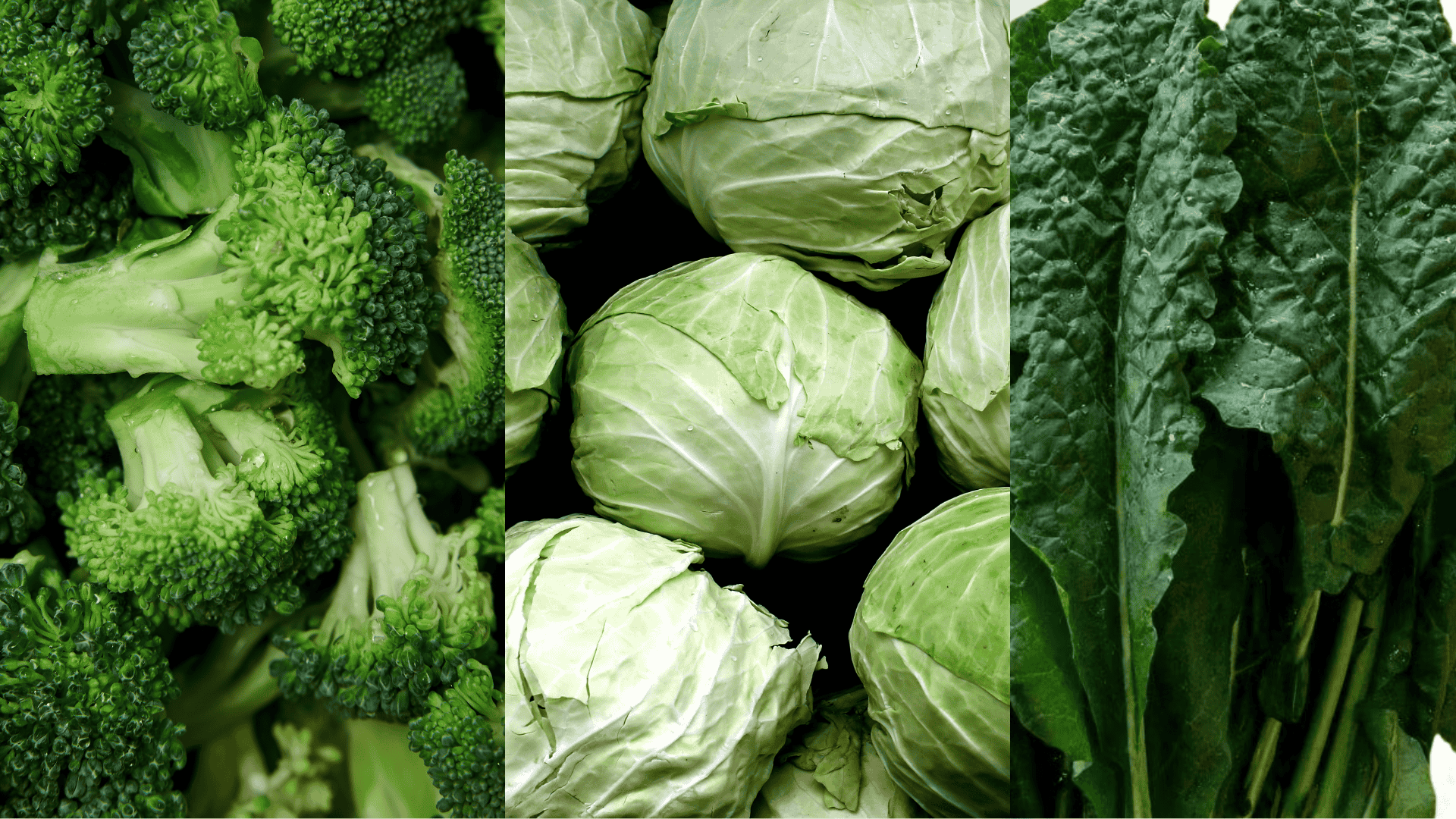 bracissca-companion-plants-for-eggplant