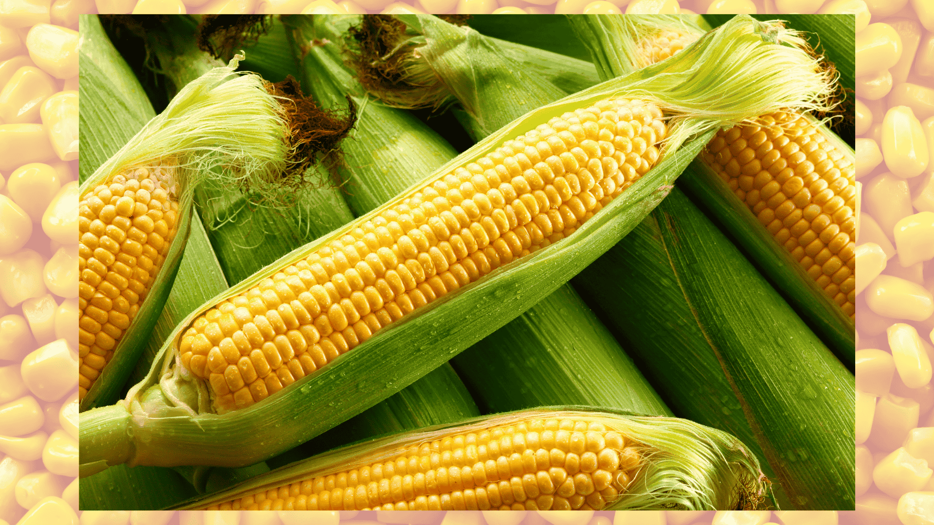 corn-eggplant-bad-comp