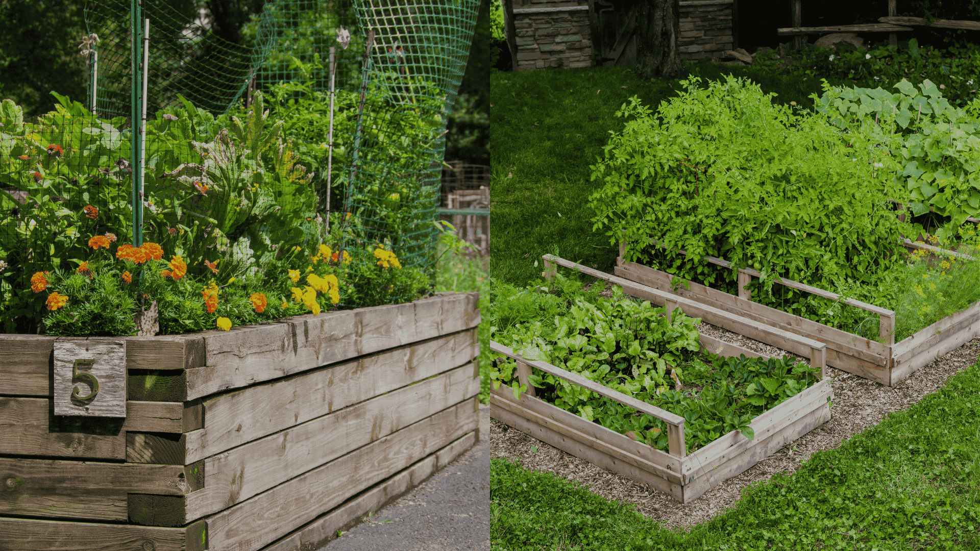 raised-bed-Vegetable-Garden-Layout