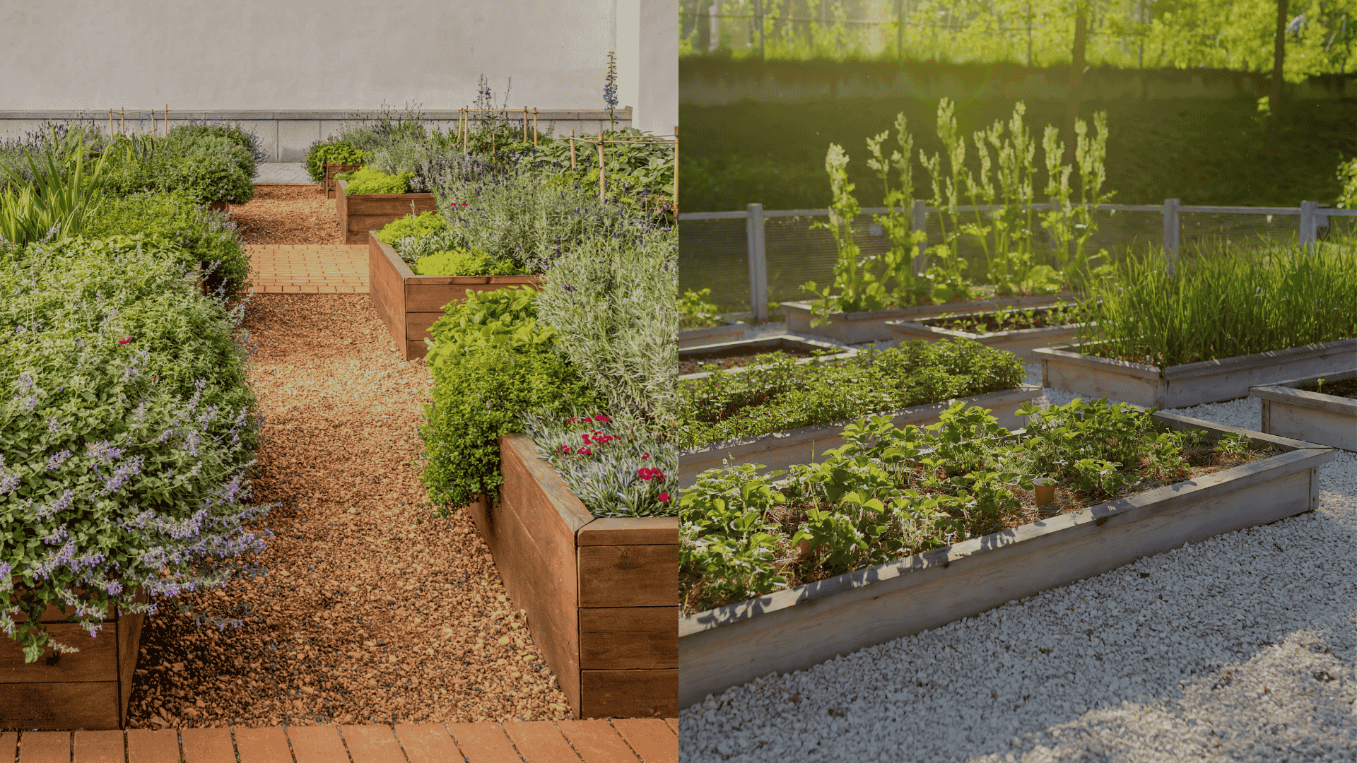 raised-bed-gardening