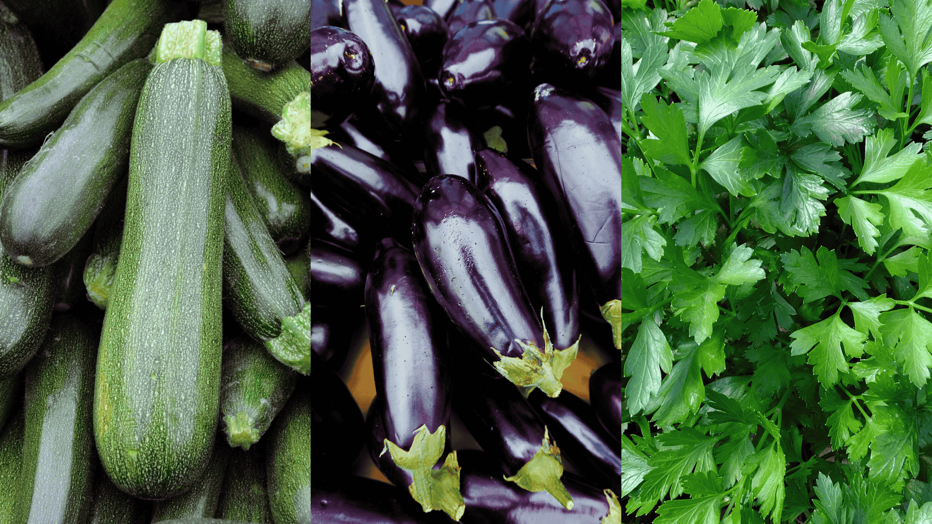 zucchini-parsley-companion-plants-for-eggplant