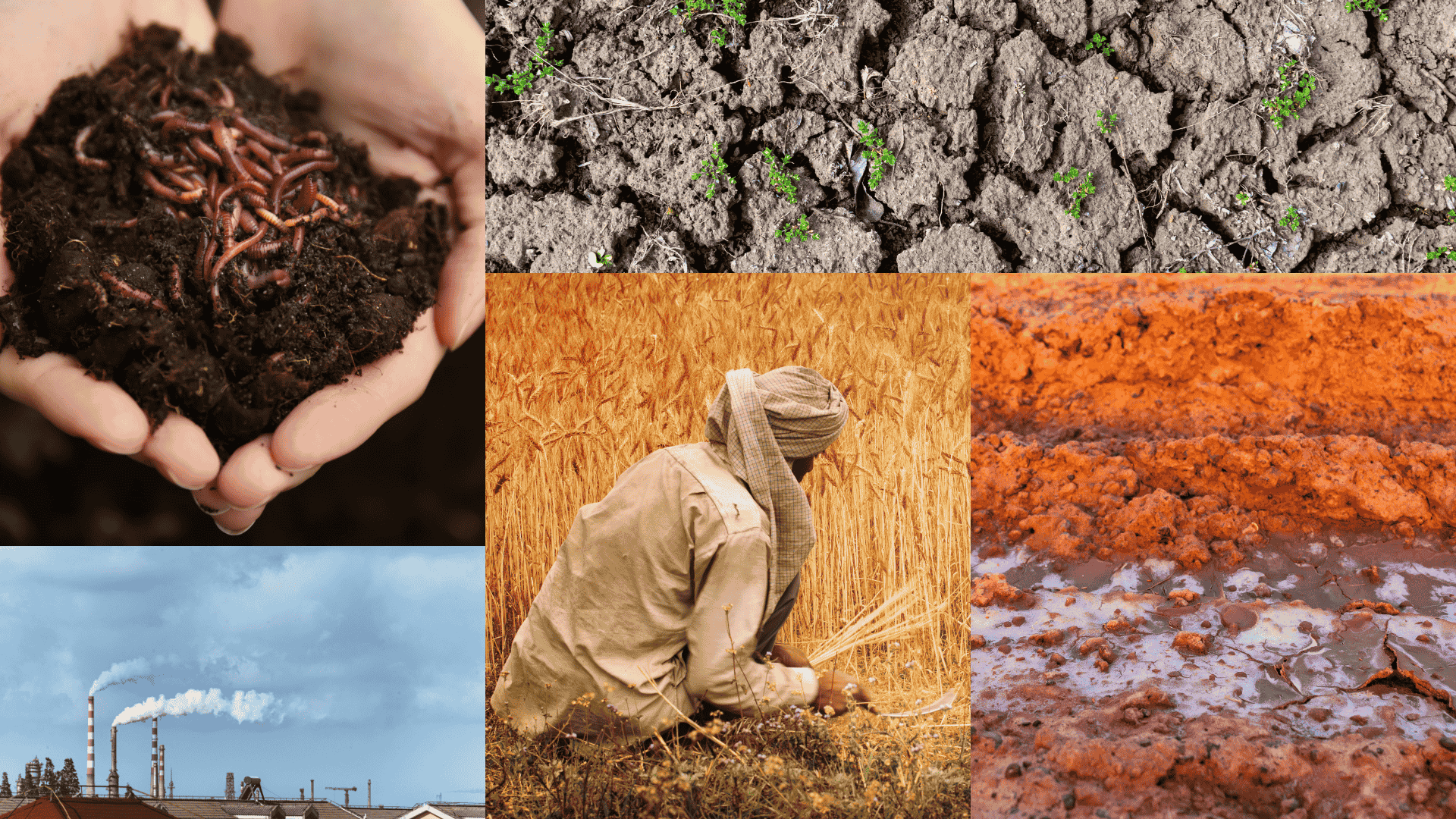 7-synthetic-fertilizer-disadvantages