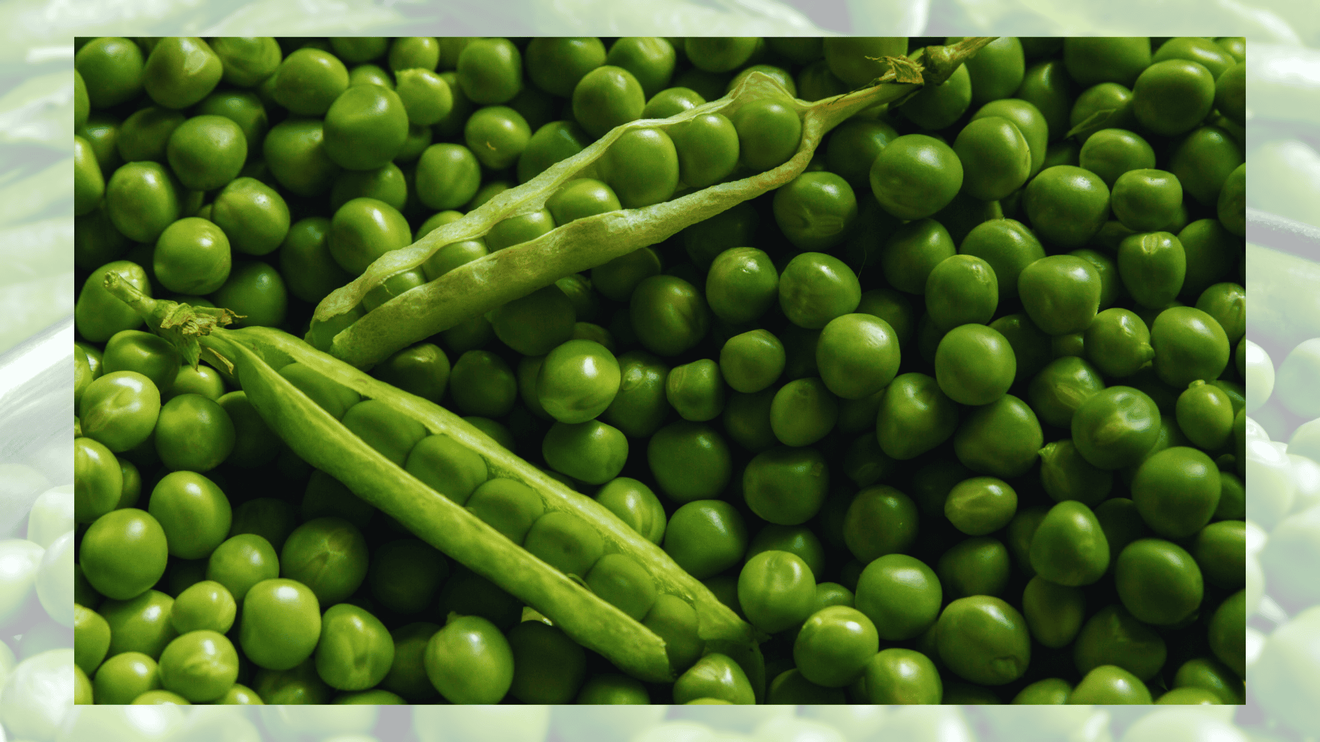 Beet companion plants