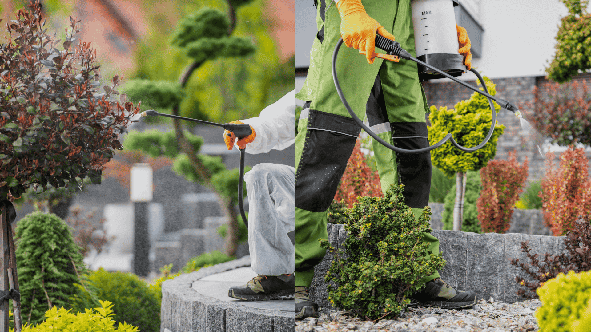 Call-a-Pest-Control-Professional