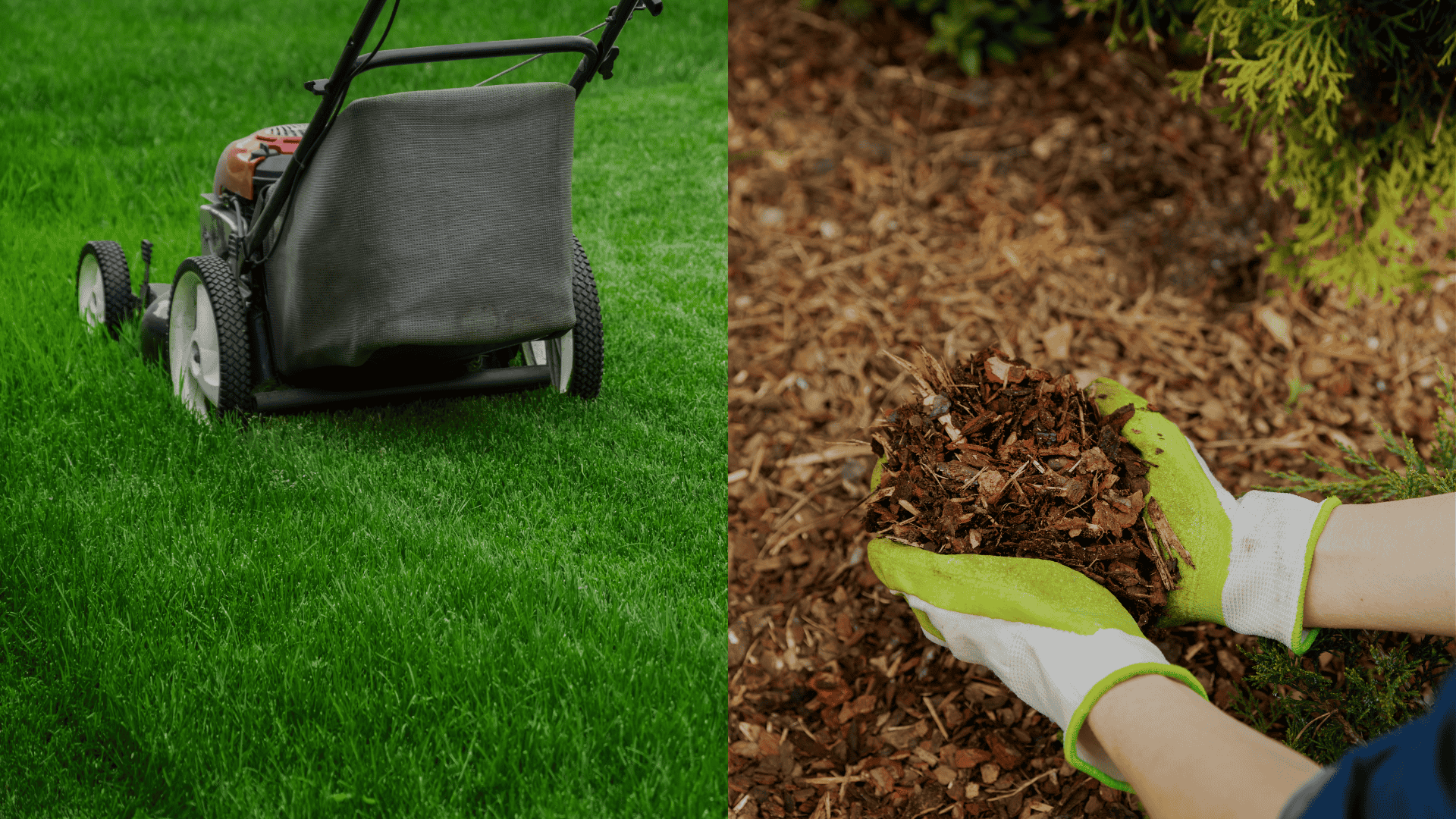 Eliminate-Food-and-Shelter-Sources