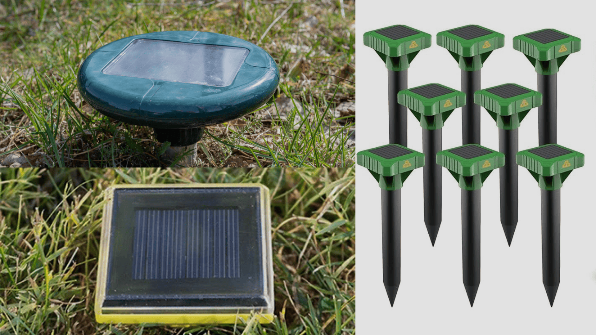 Try-Sound-or-Vibration-Deterrents