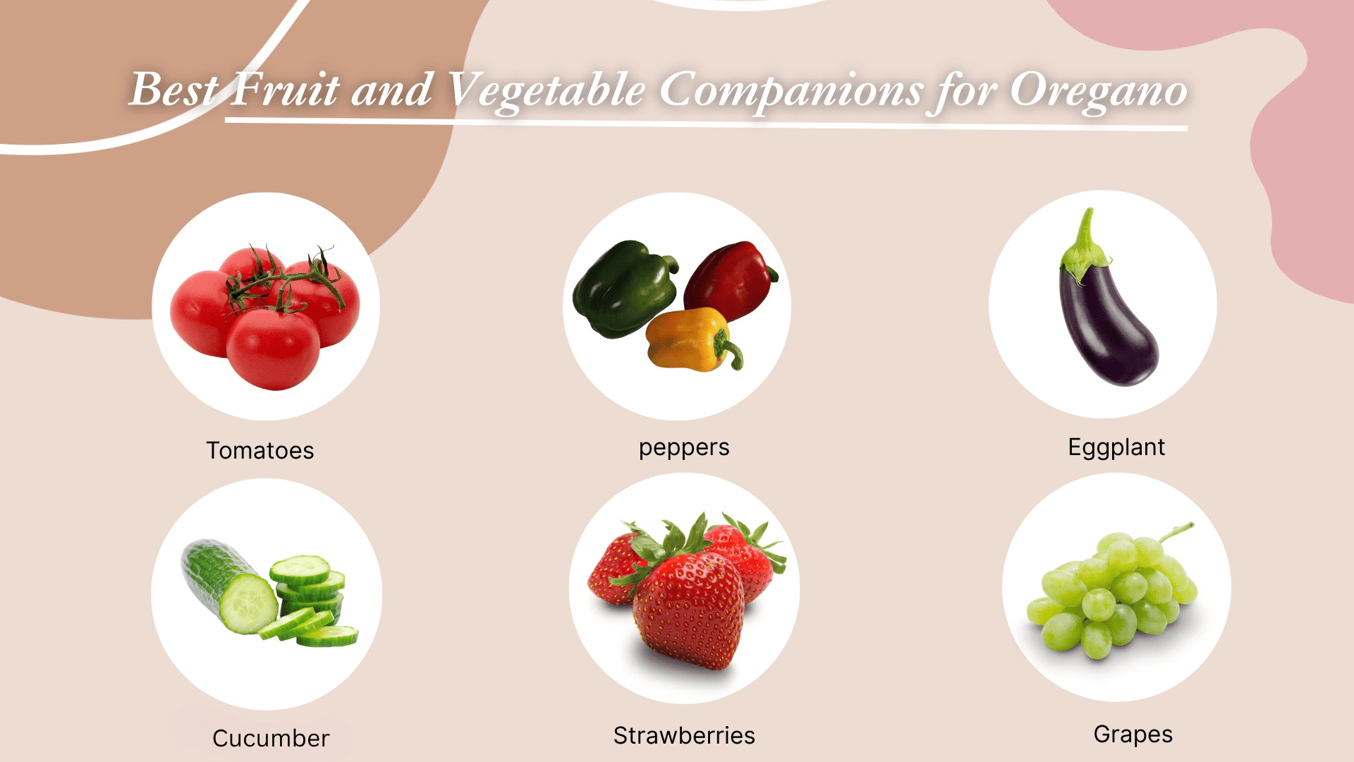 best-fruit-and-vegetable-companions-for-oregano
