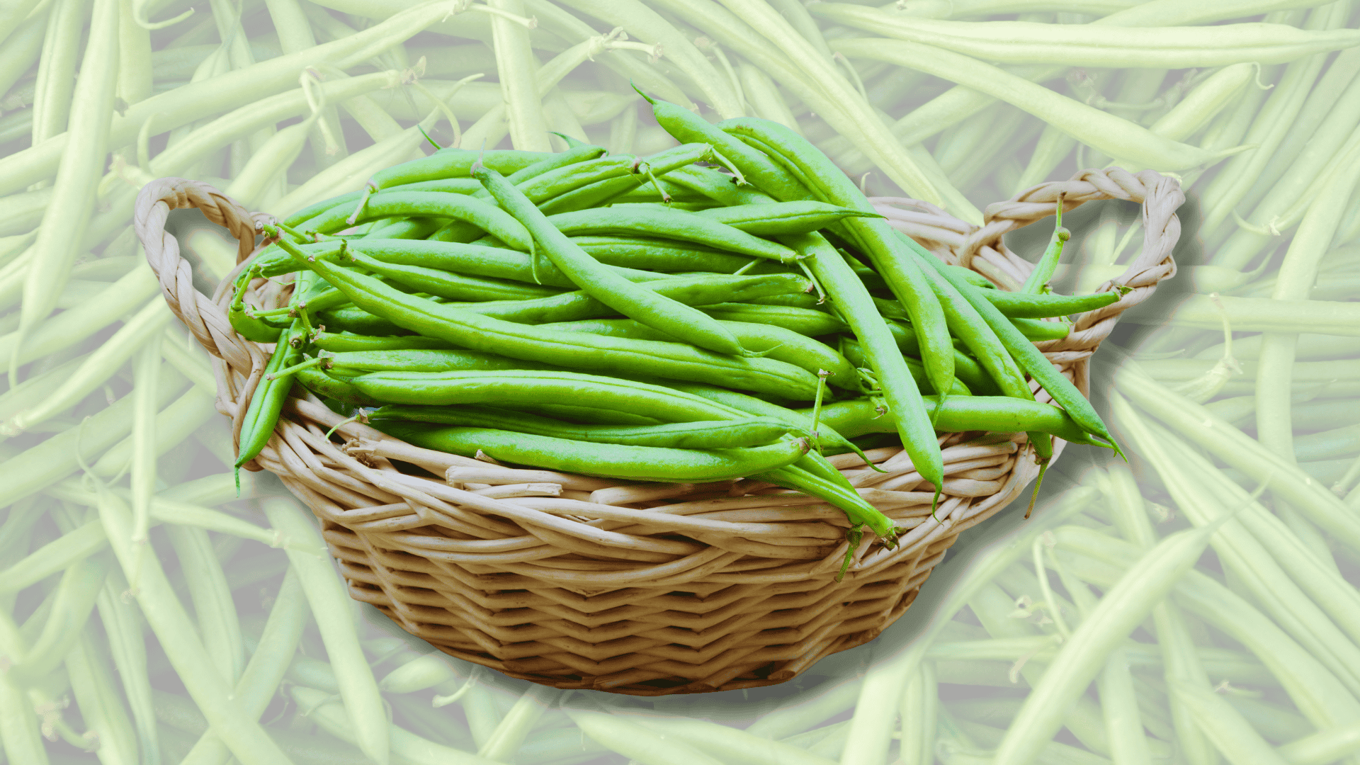 bush beans with beets