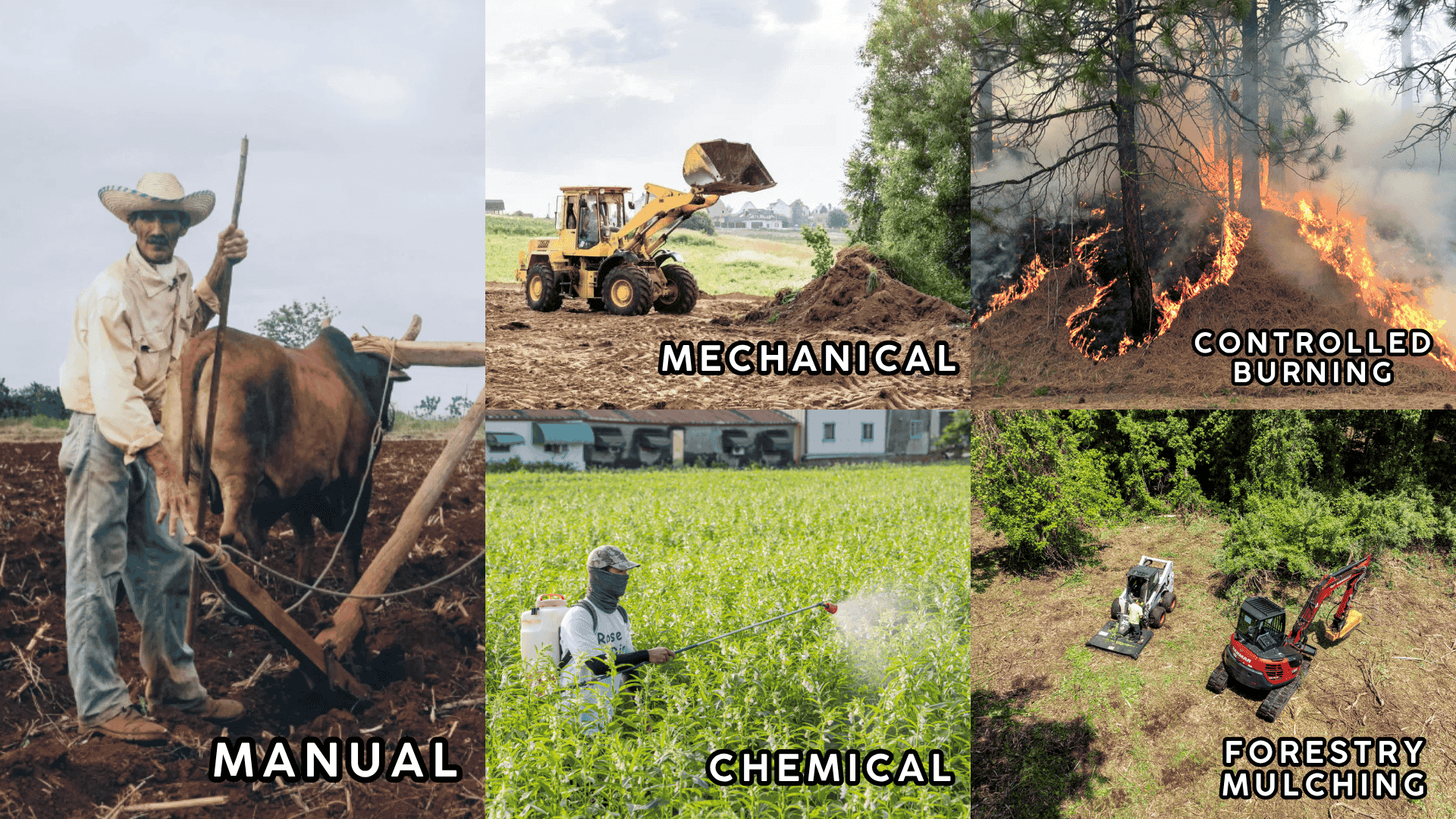 land clearing methods