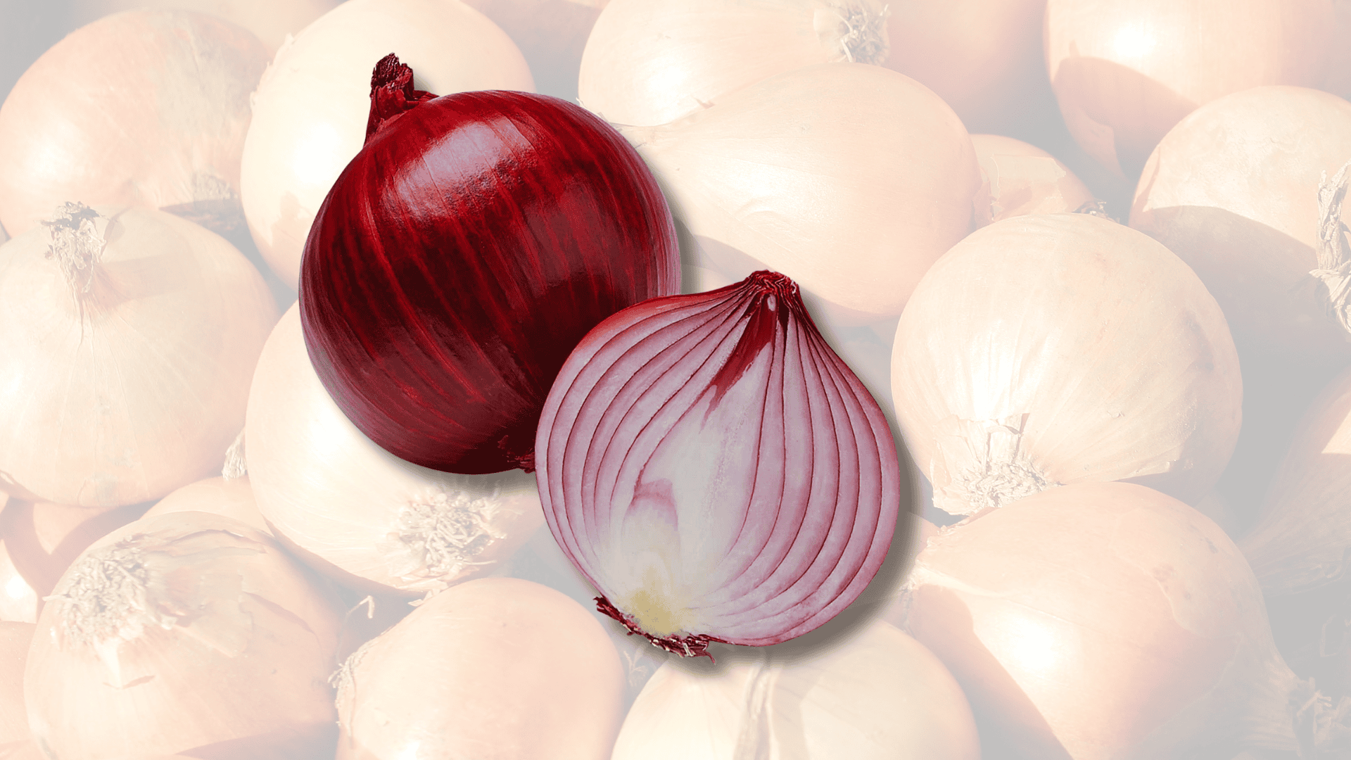 onion with beets