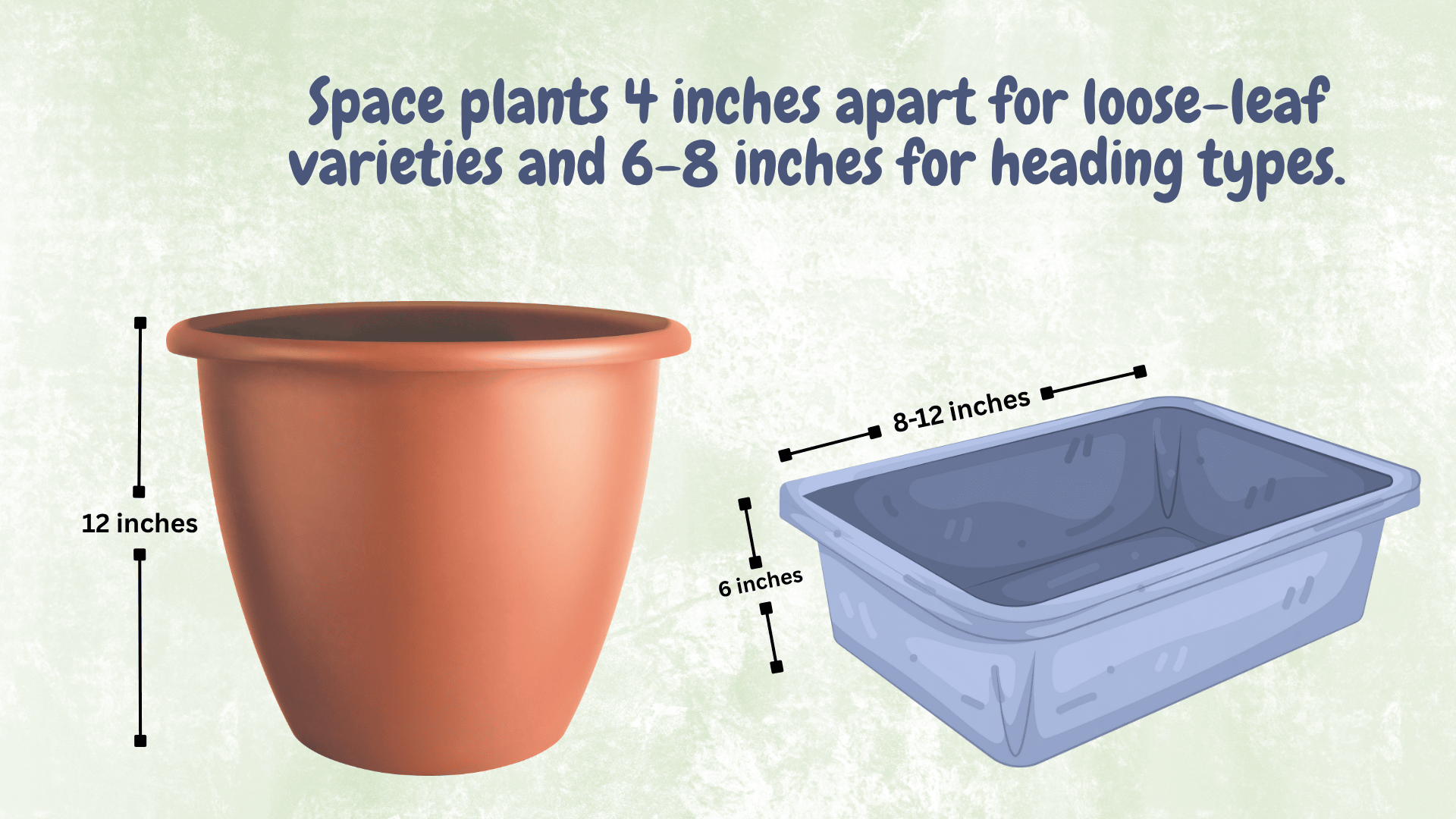 size matters for choosing the right container