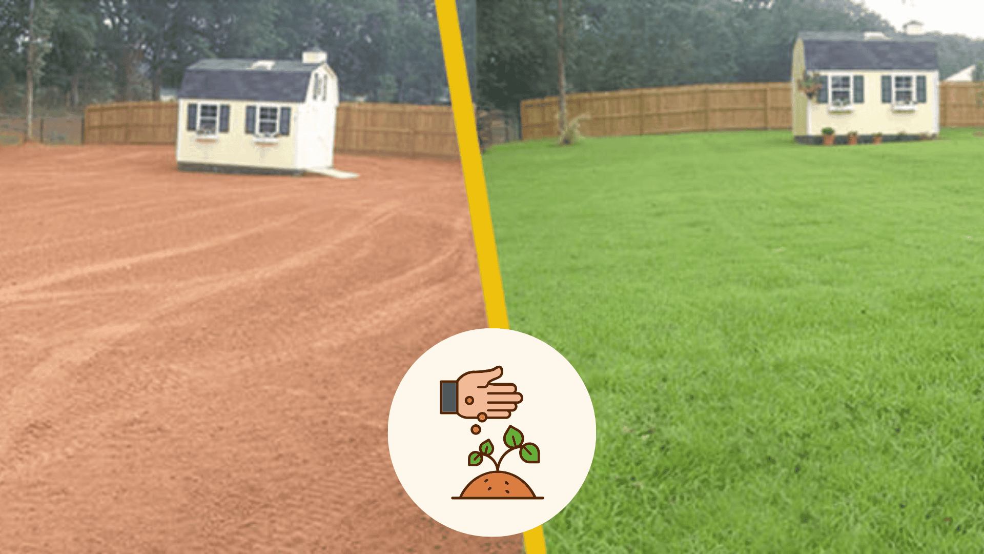 what is hydro seeding